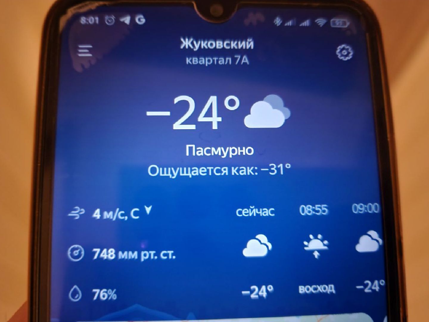 одежда