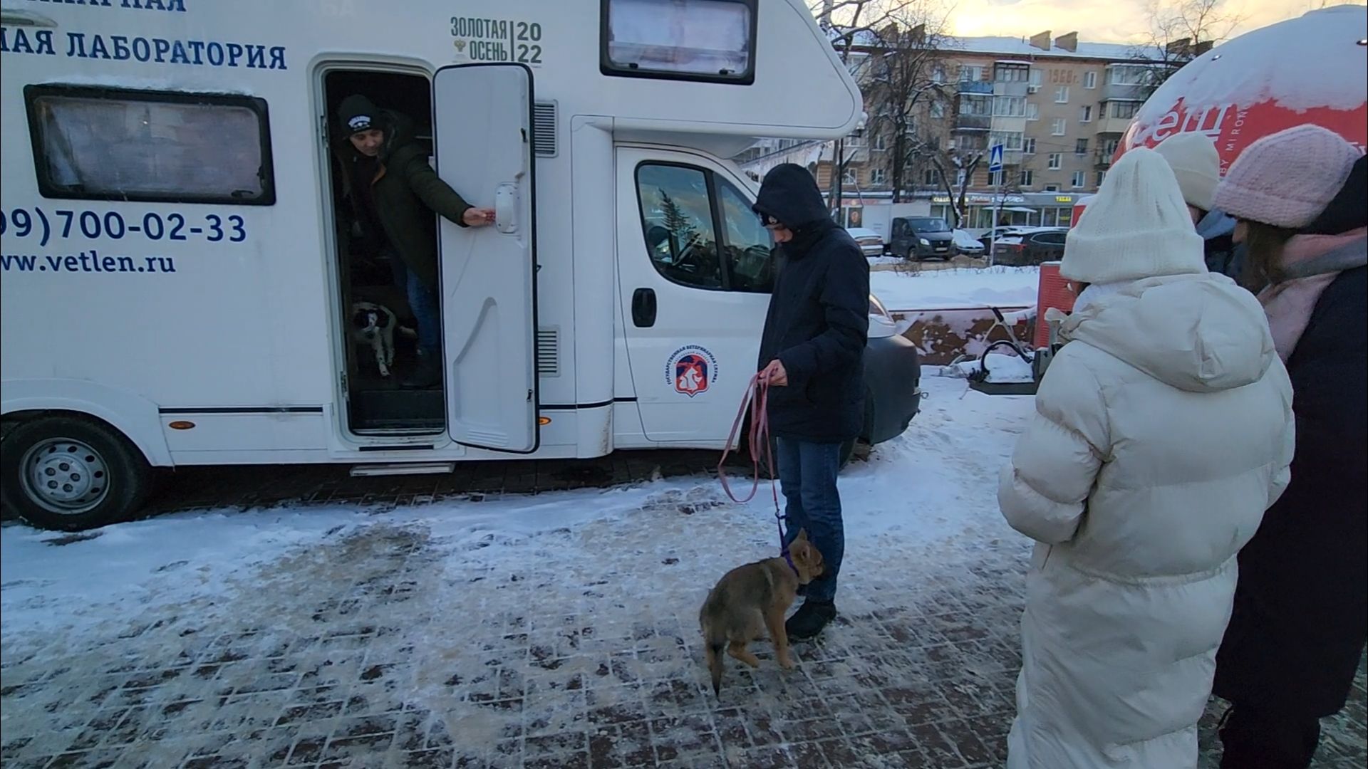 жк