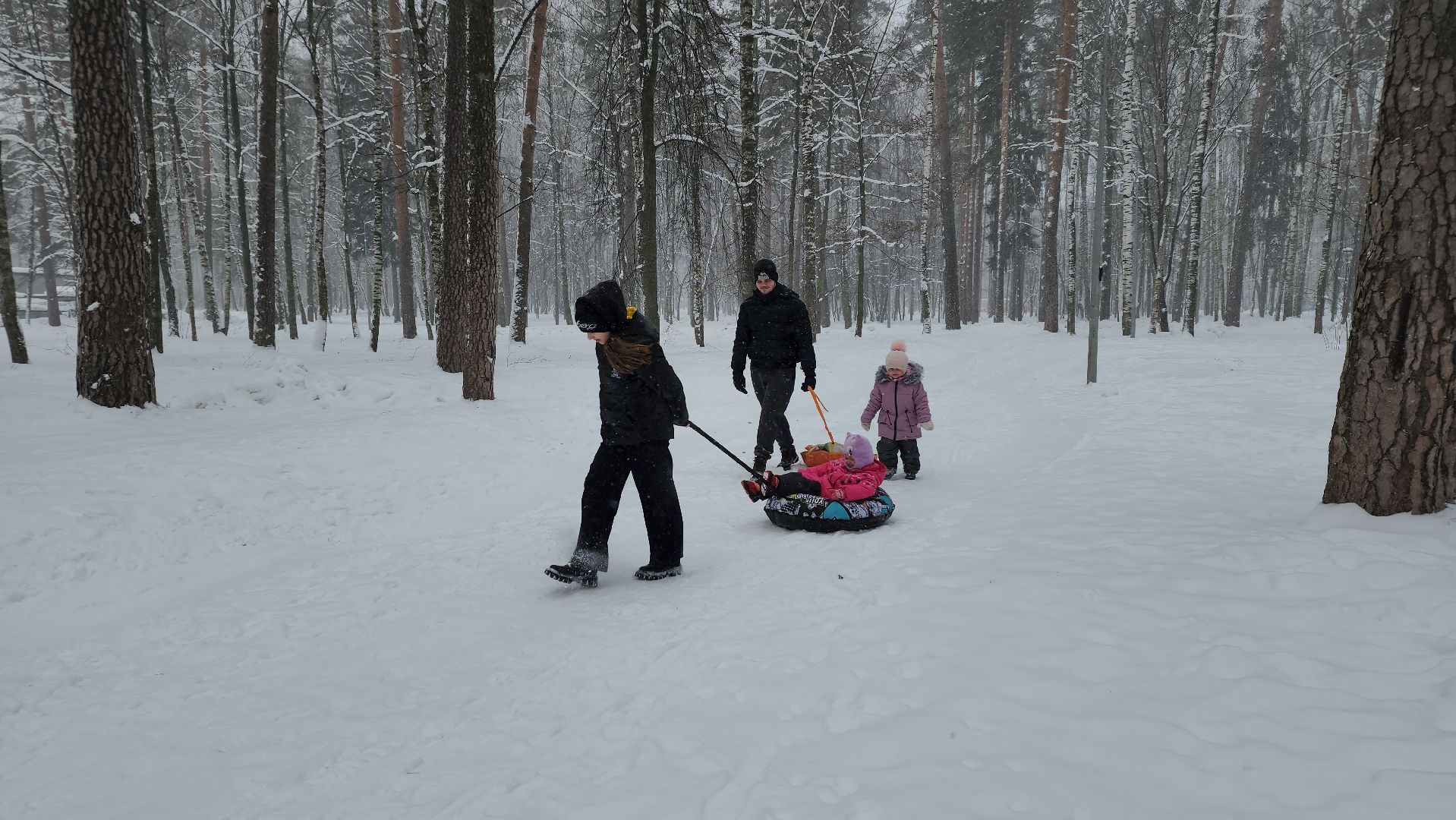 зима в парках