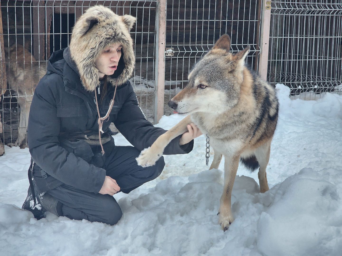 Королёв