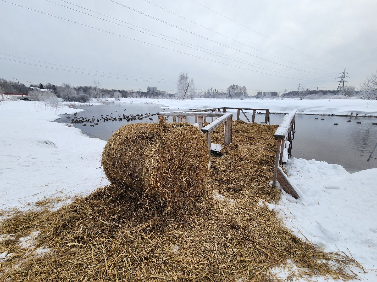 Крещенские купания
