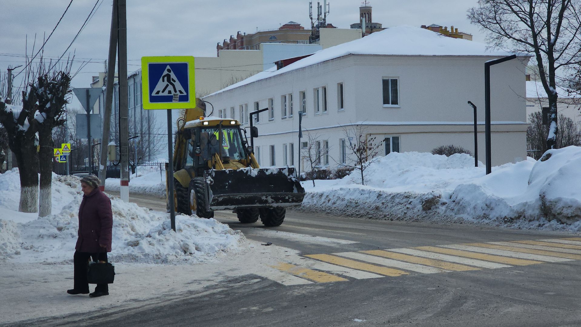 ели