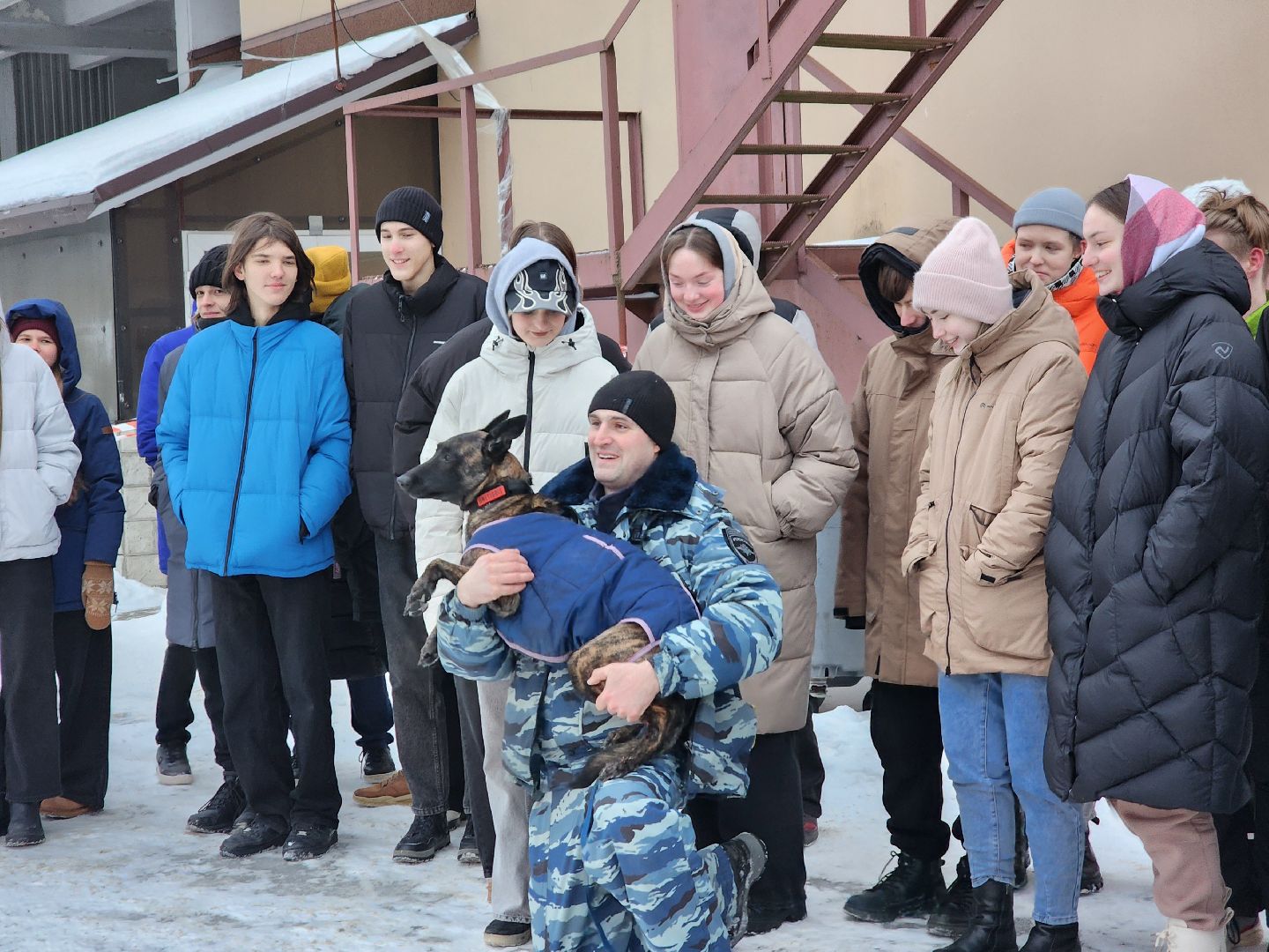 мвд