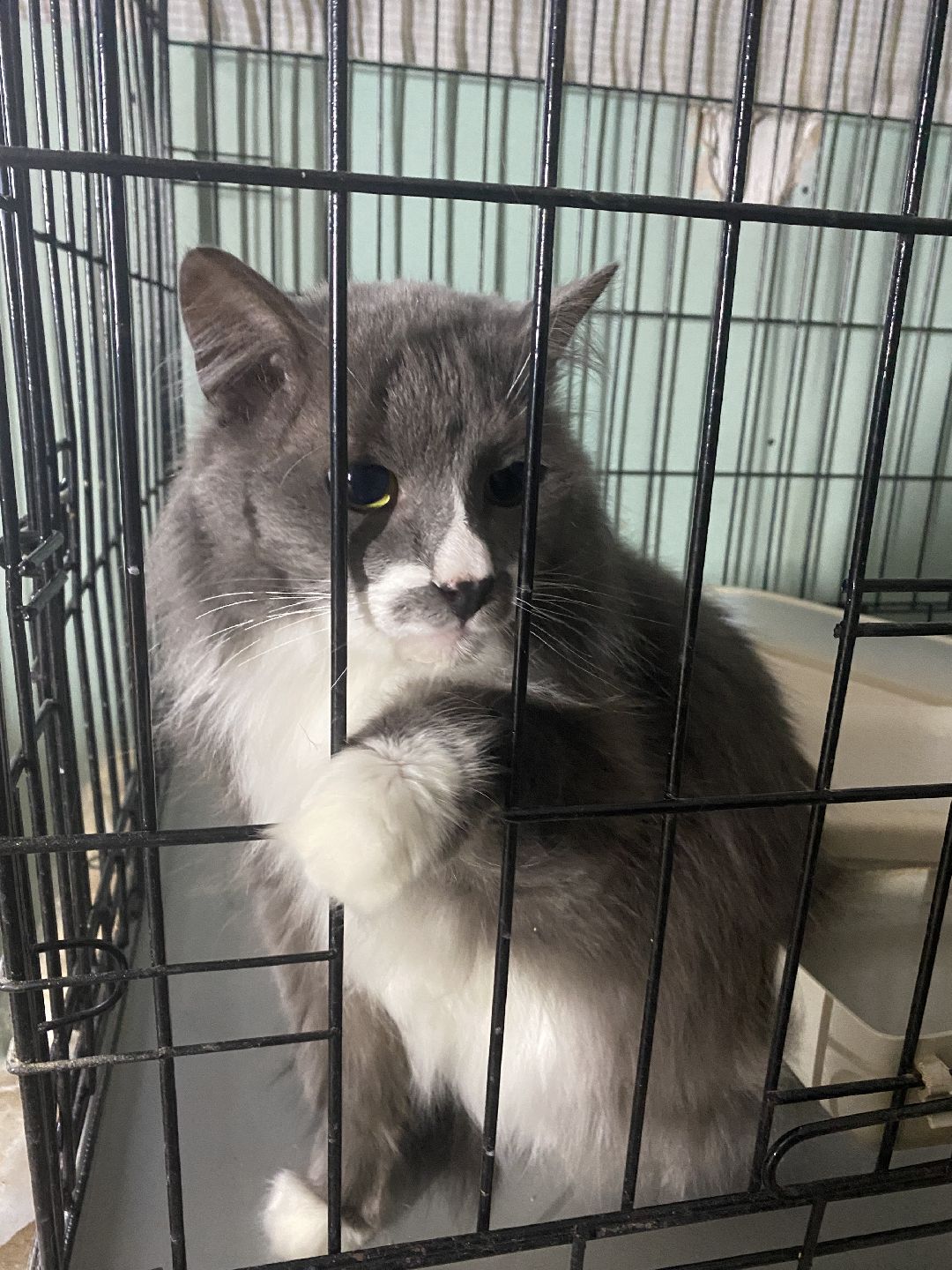 долгопрудный