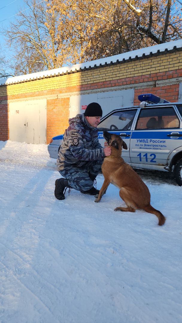 мвд