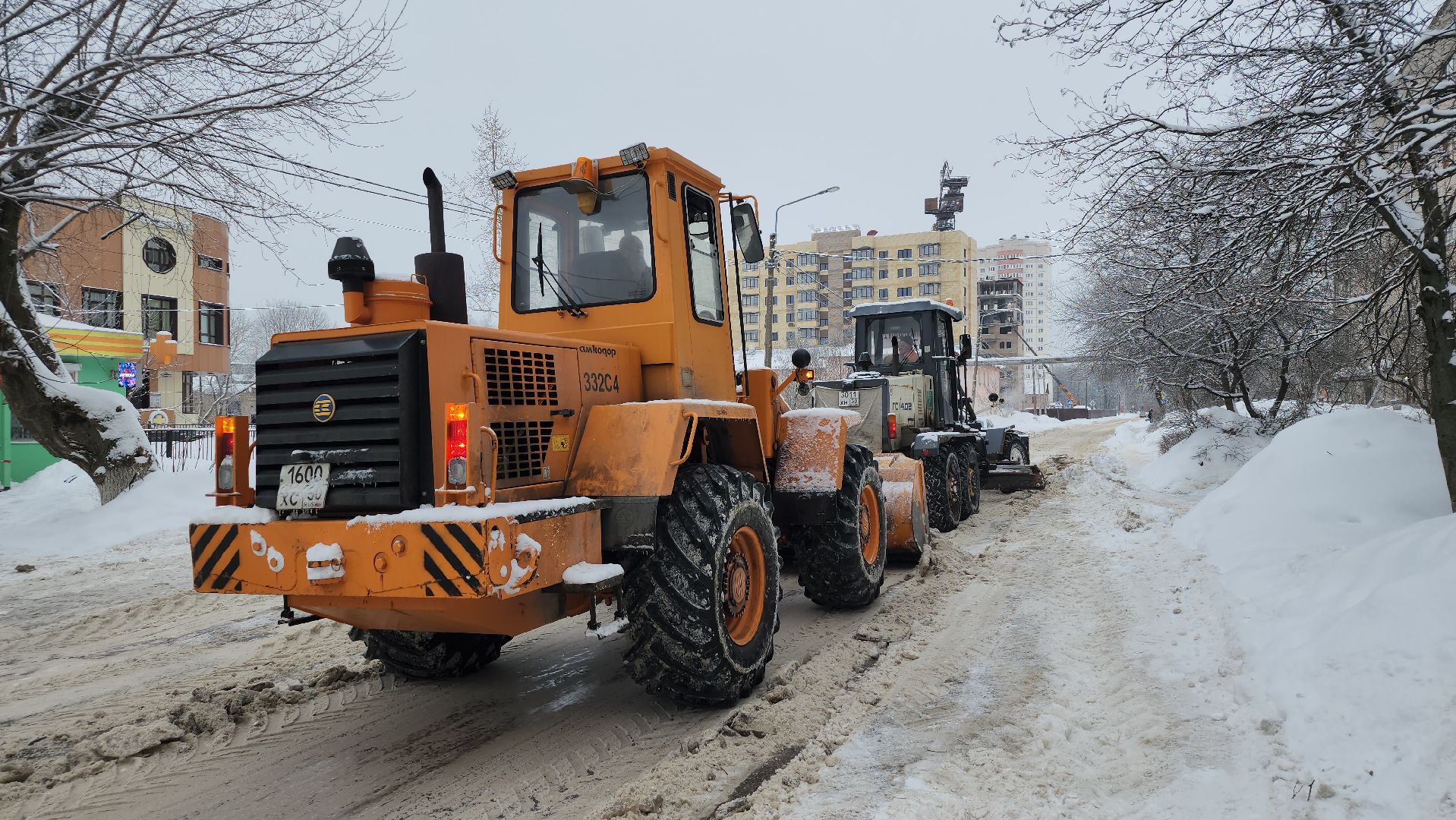 купавна
