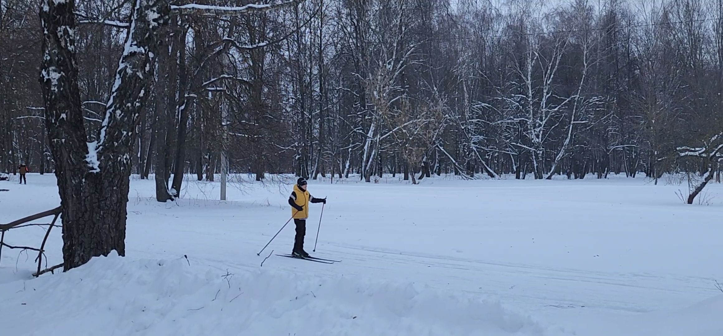 лыжи