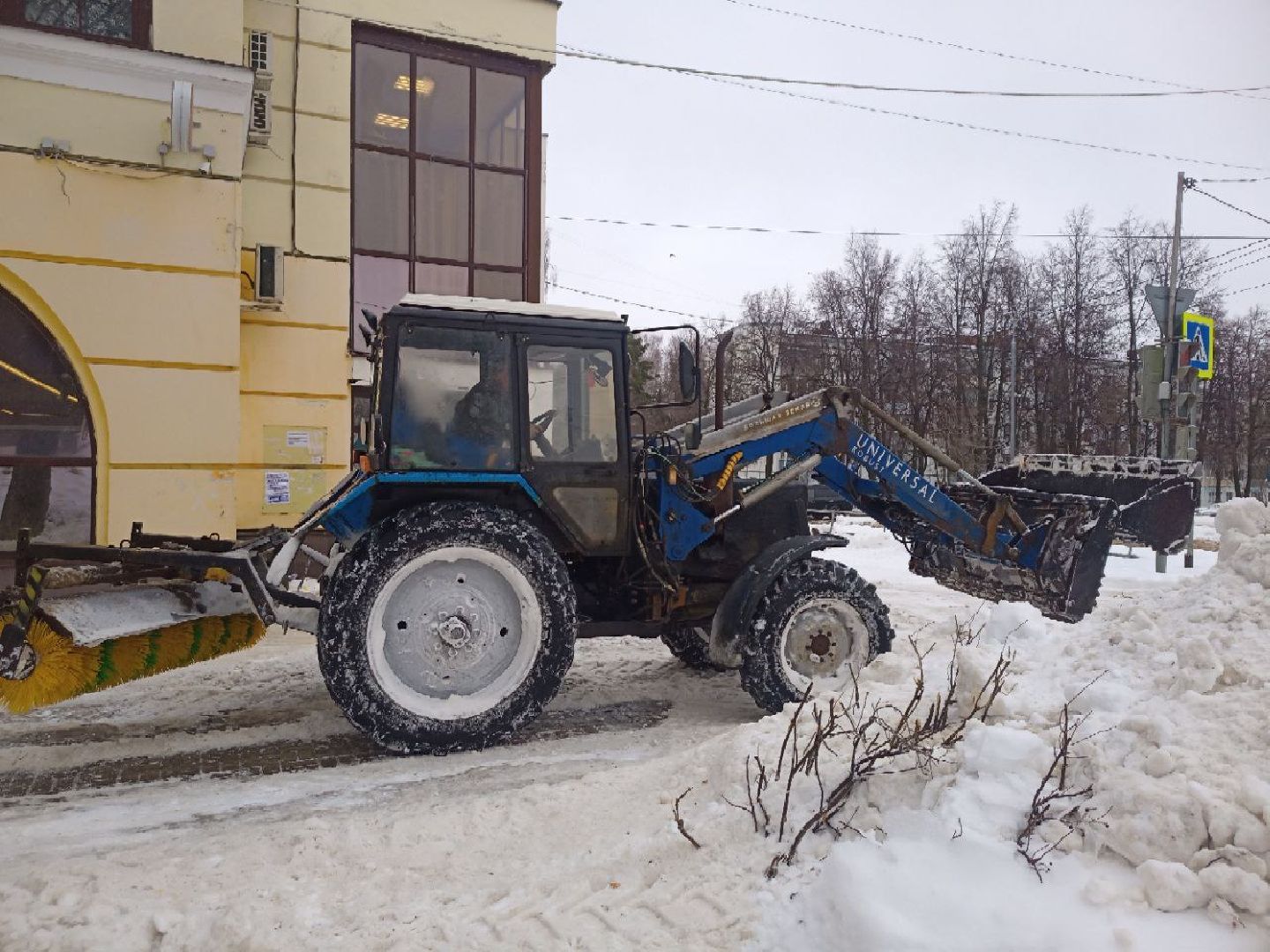 год