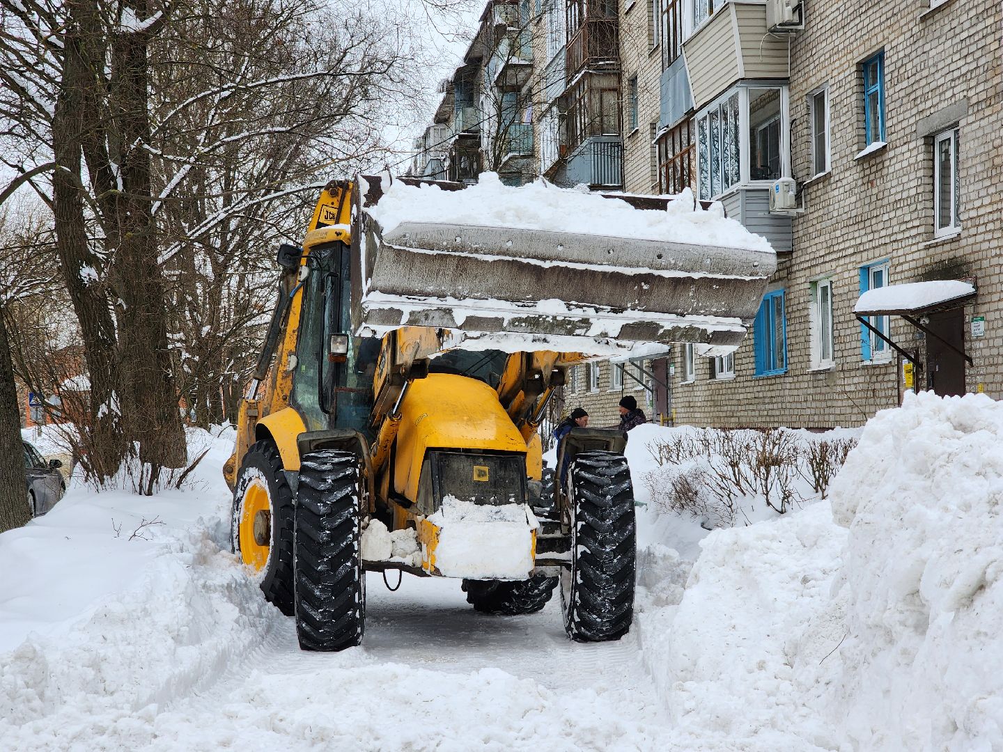 купавна