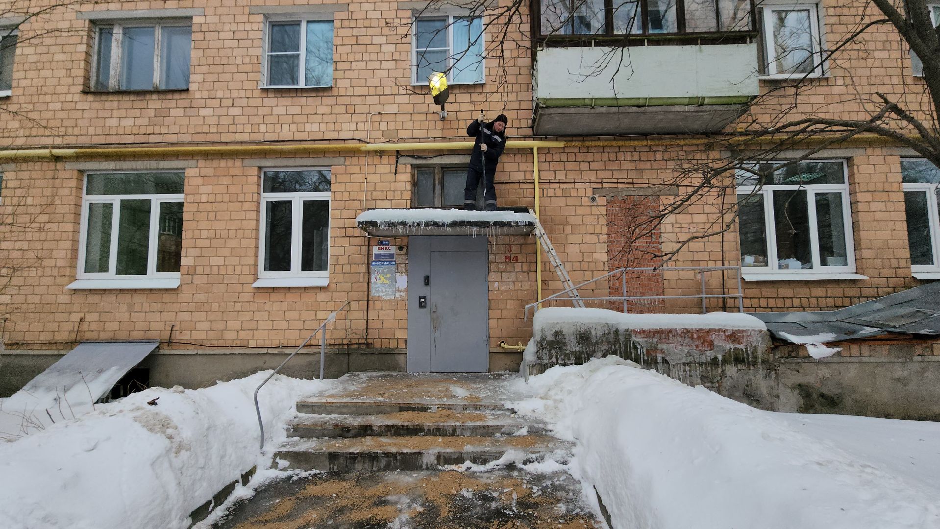 ухо