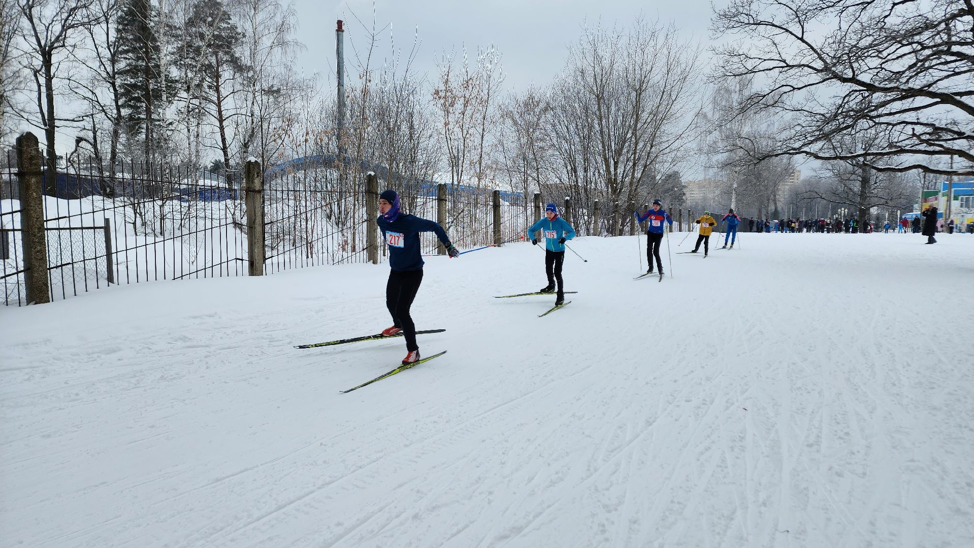 спорт ступино