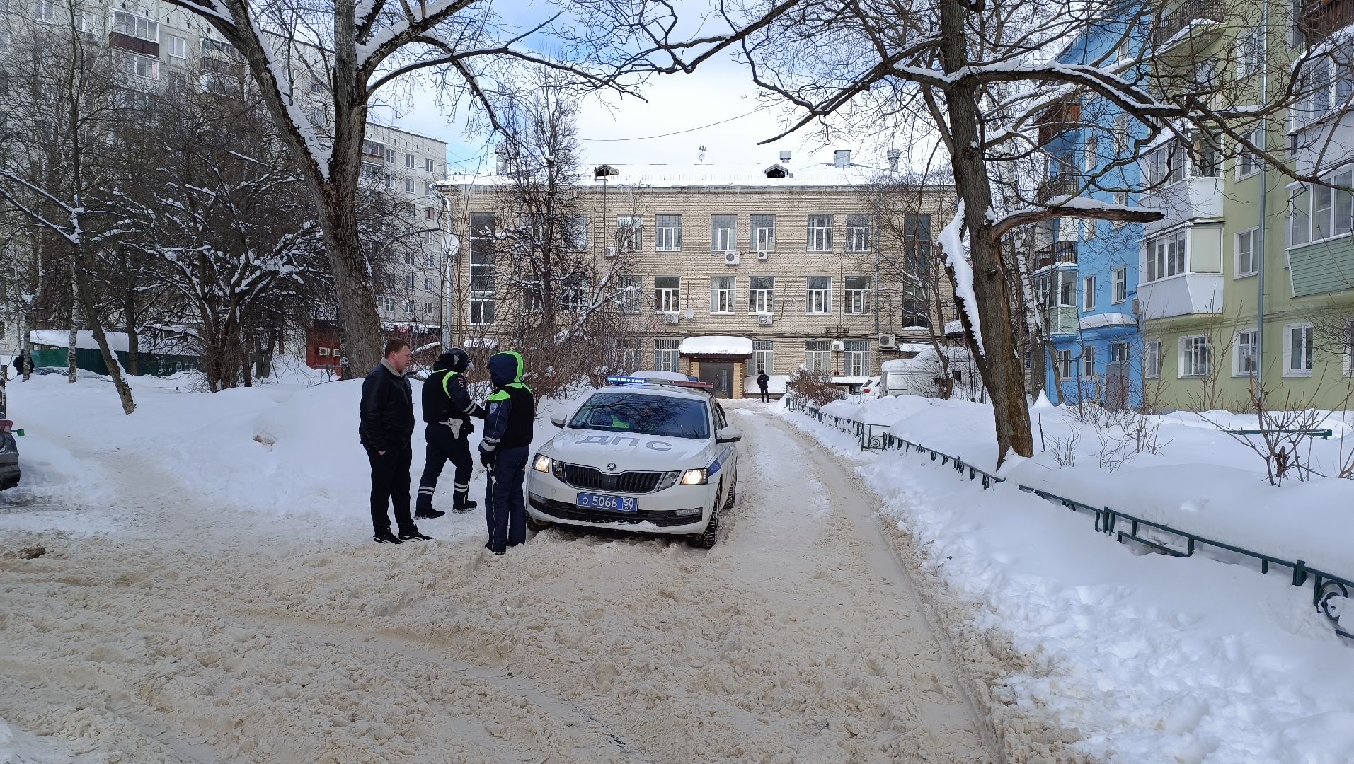 мвд