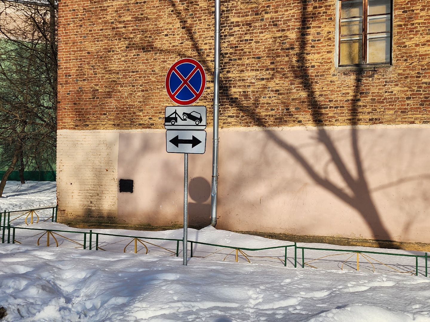 ухо
