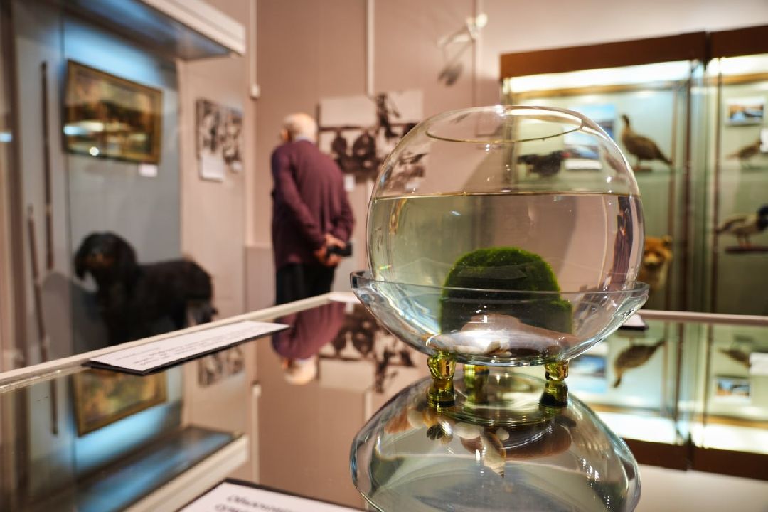 сергиев посад