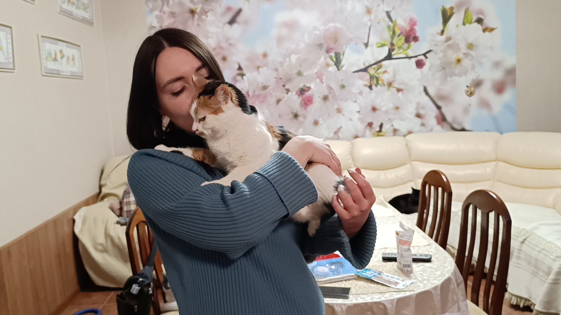день кошек