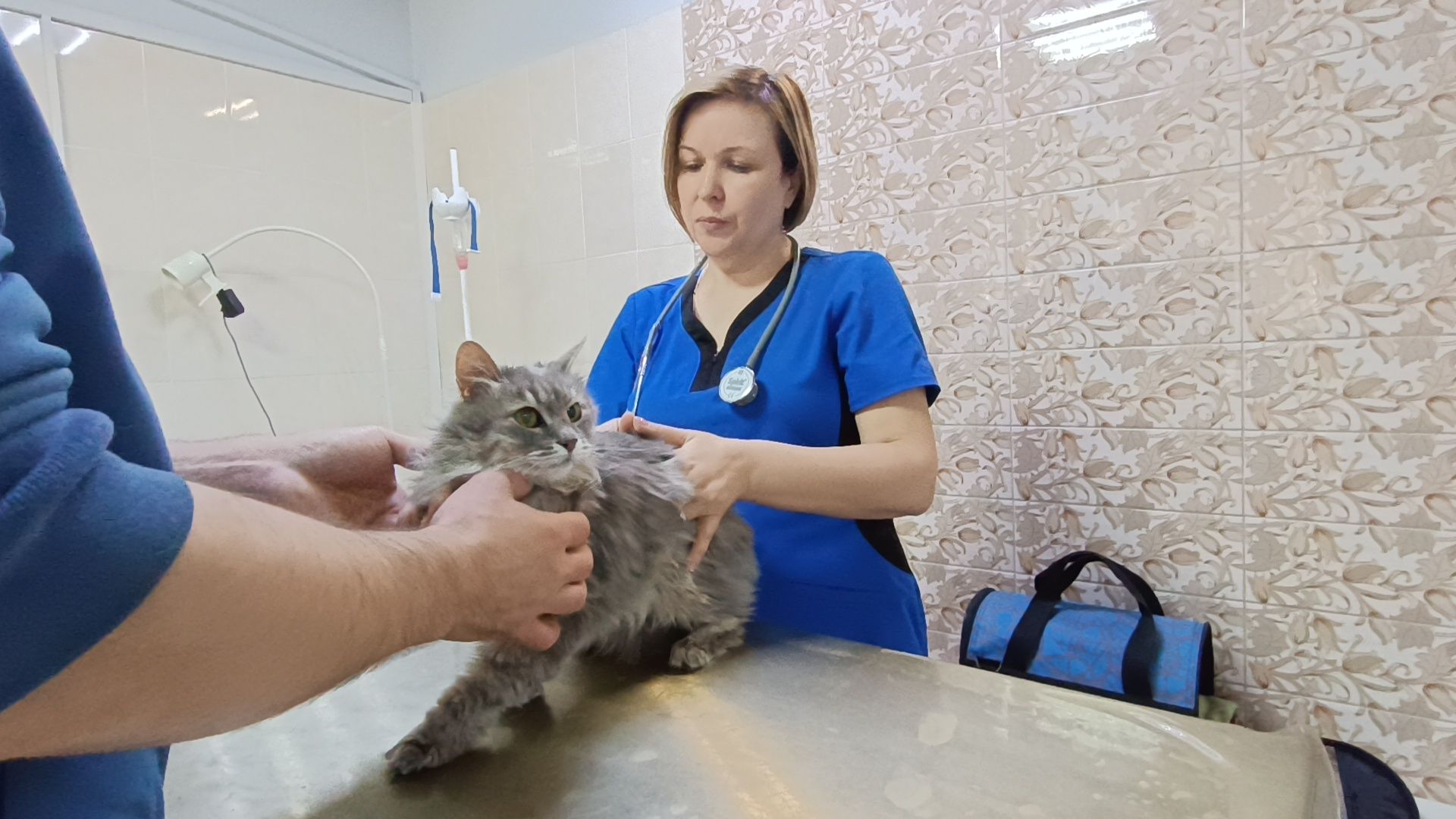 Врач