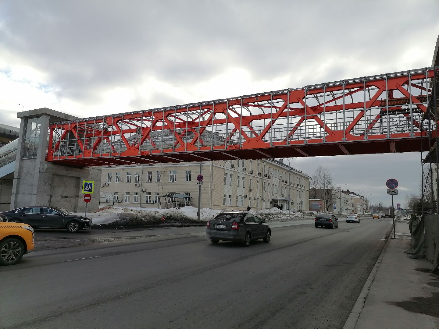 клен