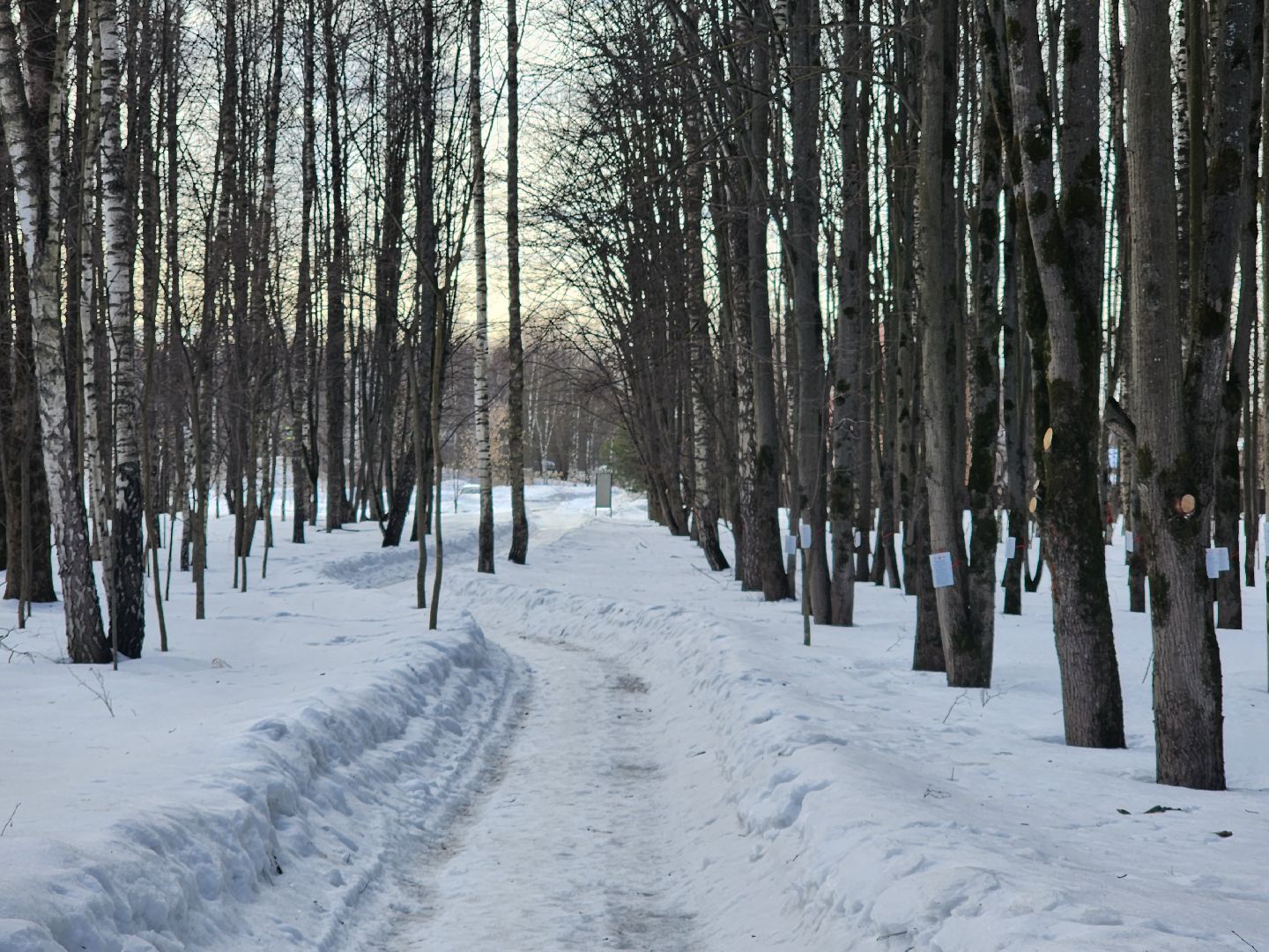 благоустройство парков