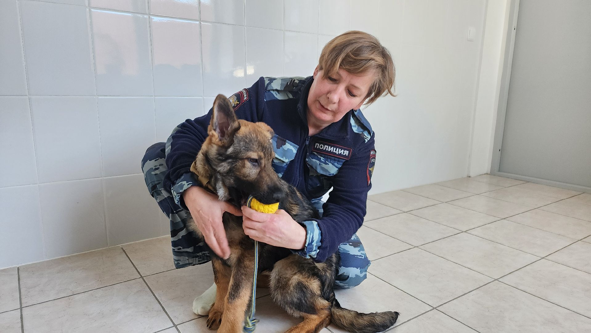 Кинолог