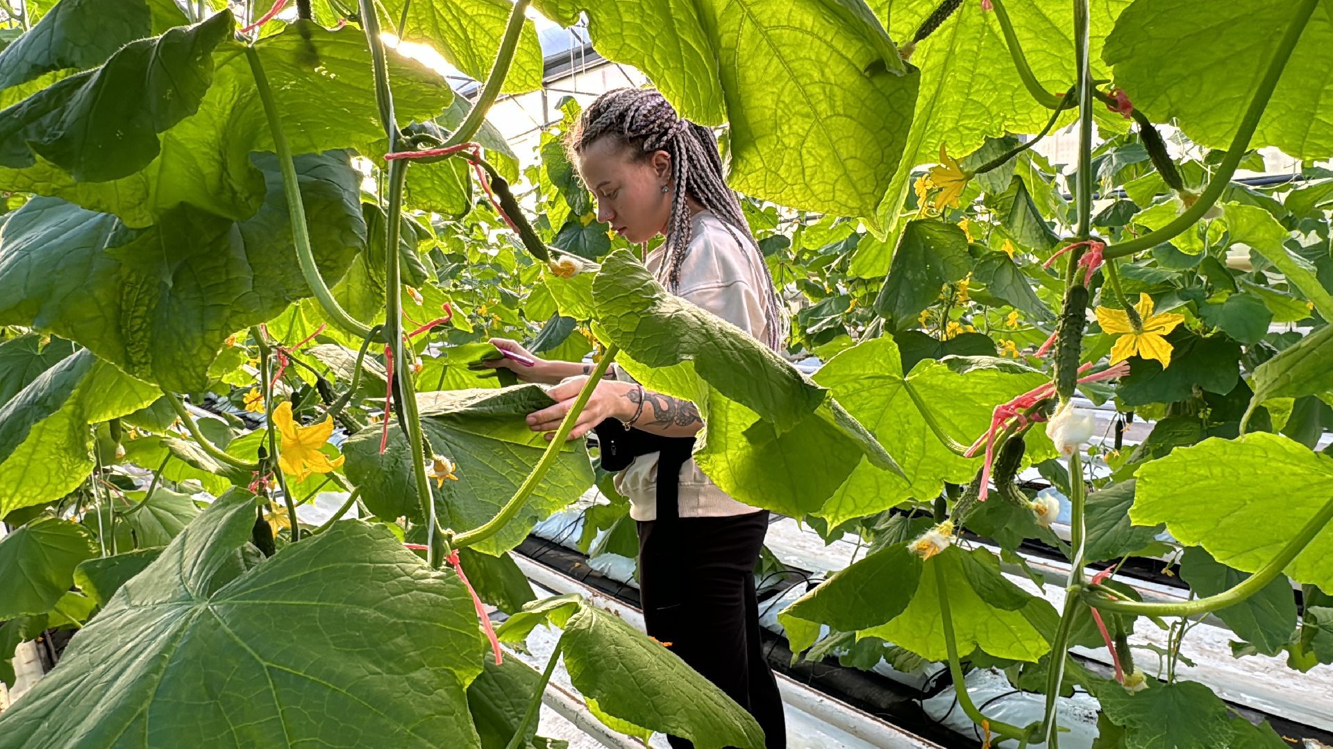 научный центр