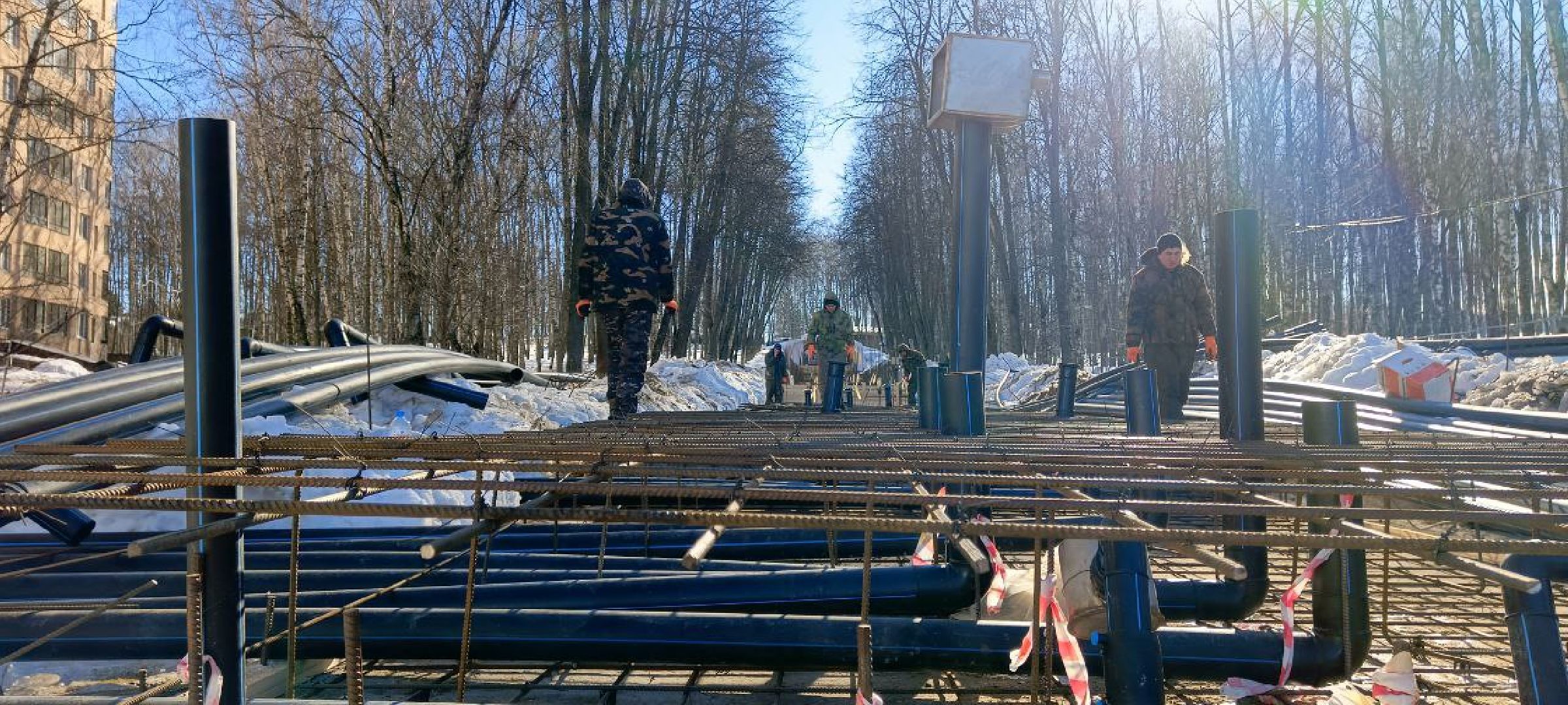 берёзовая роща