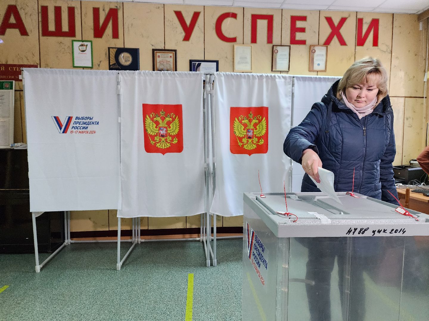 ели