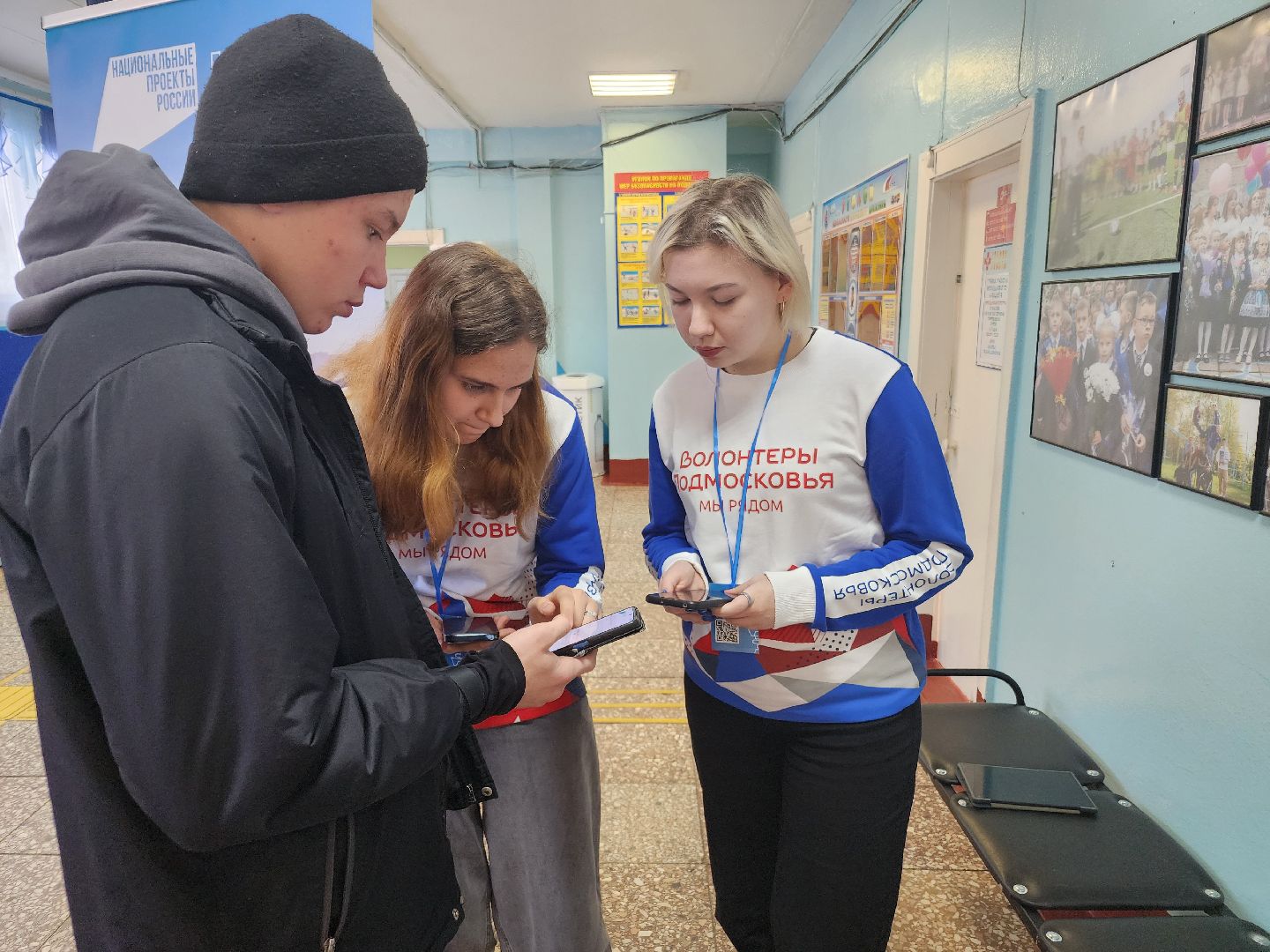 голосование