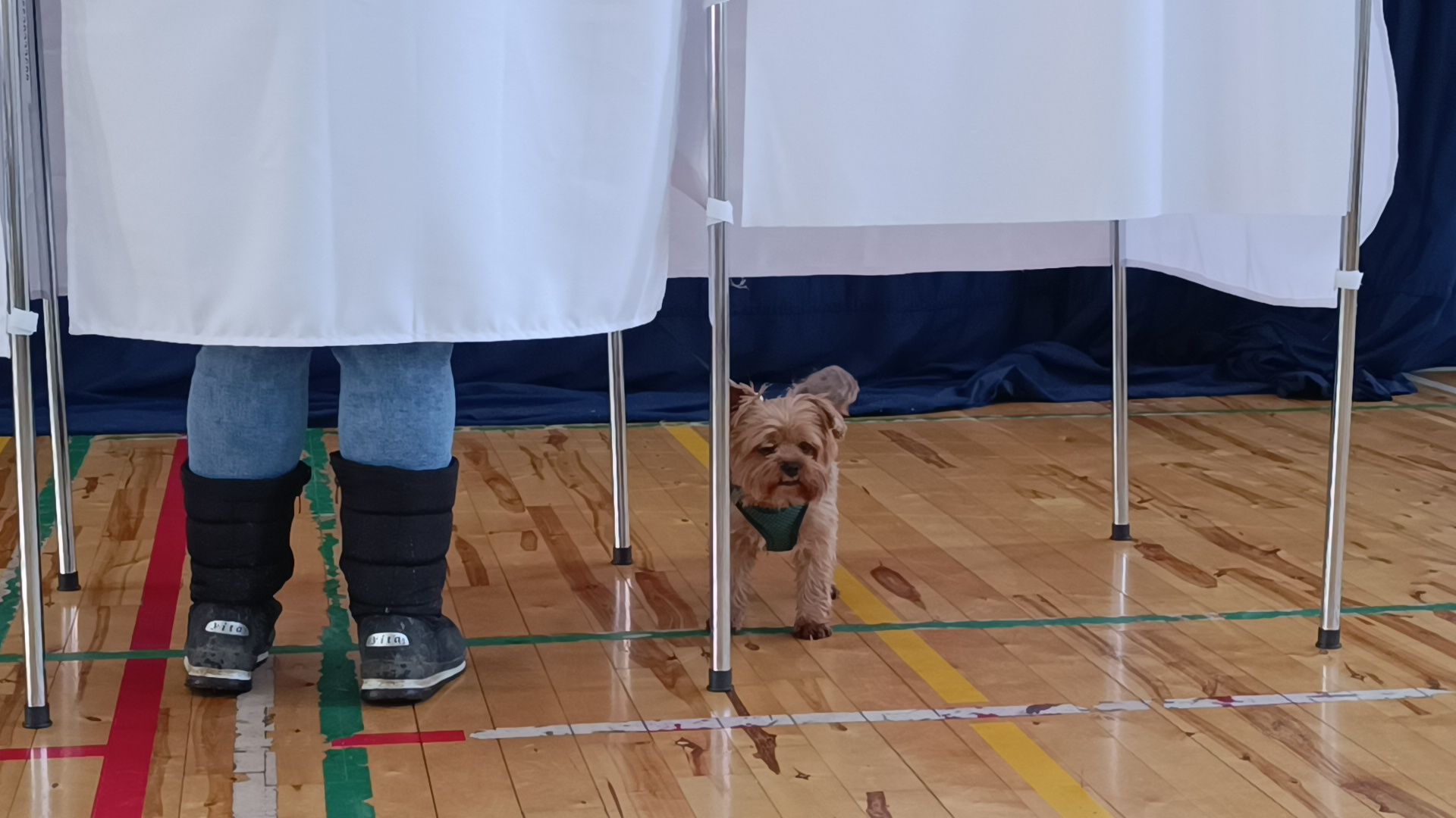 лобня