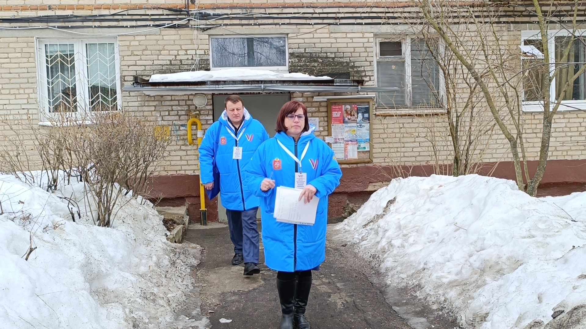 голосование