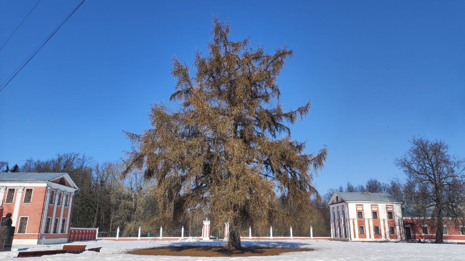 Гончаровы