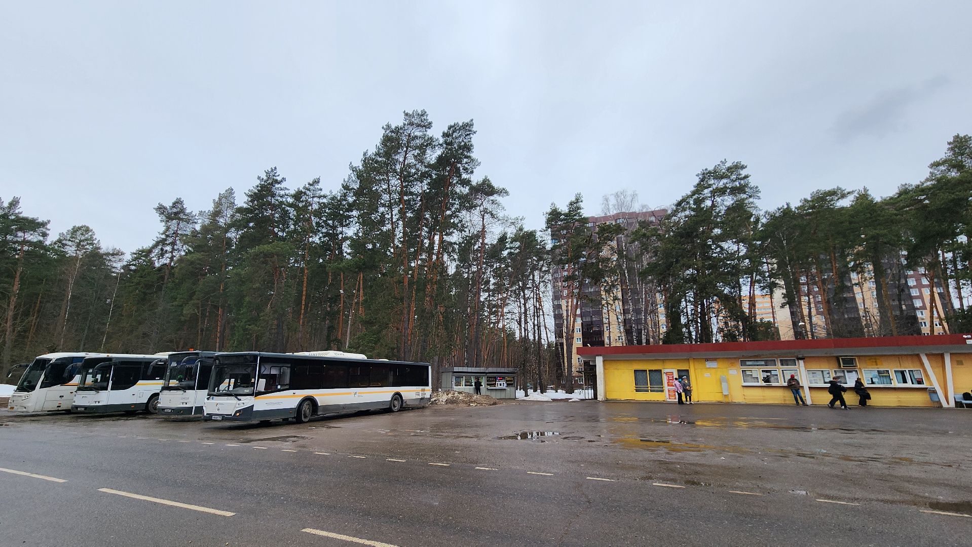 ухо