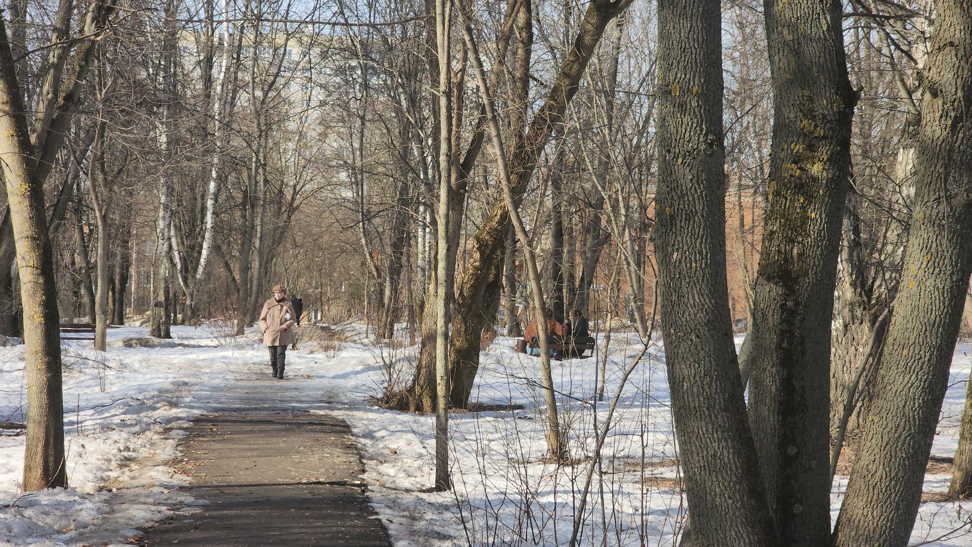 волонтеры подмосковья