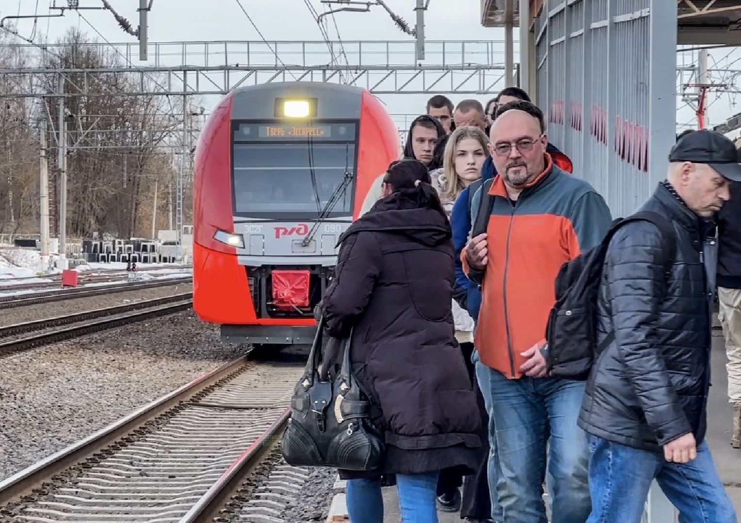 общество