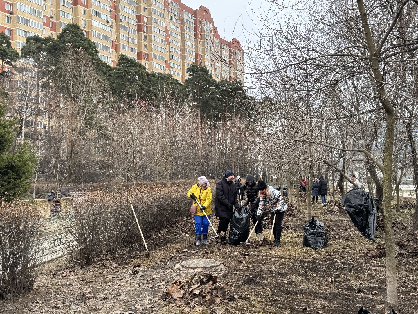 чистый город