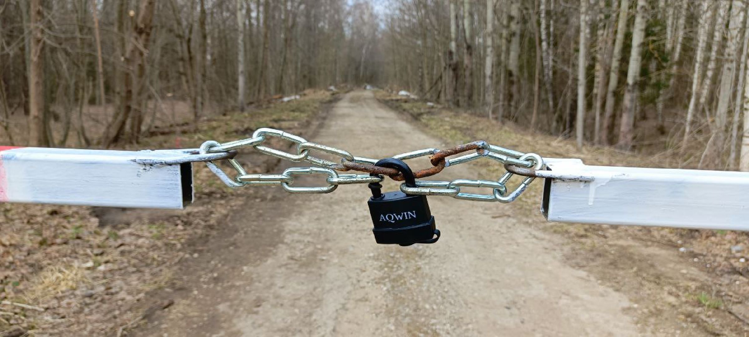 губернатор воробьев