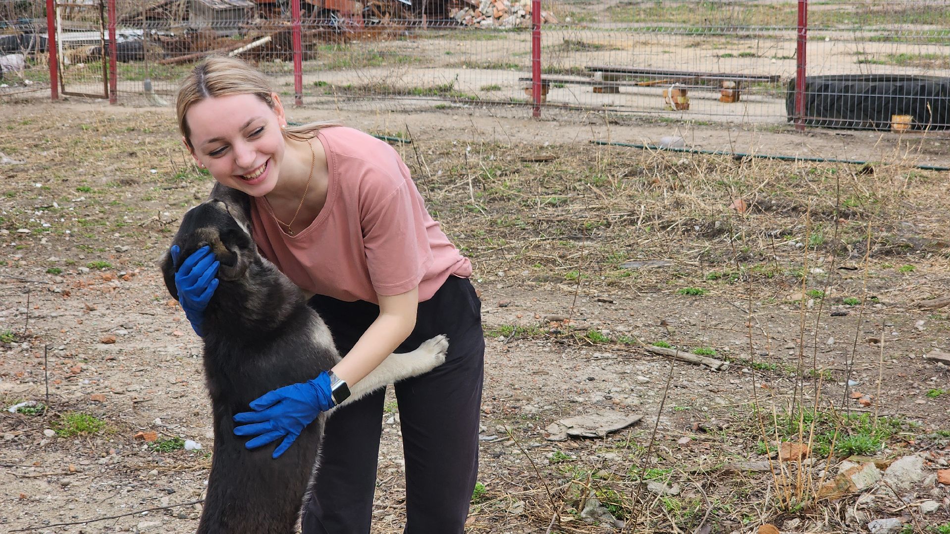 волонтеры подмосковья