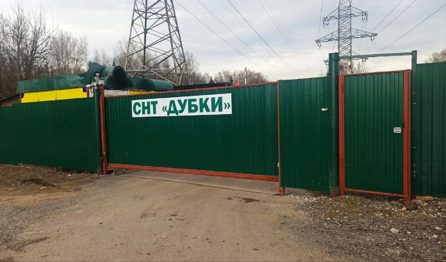 общество