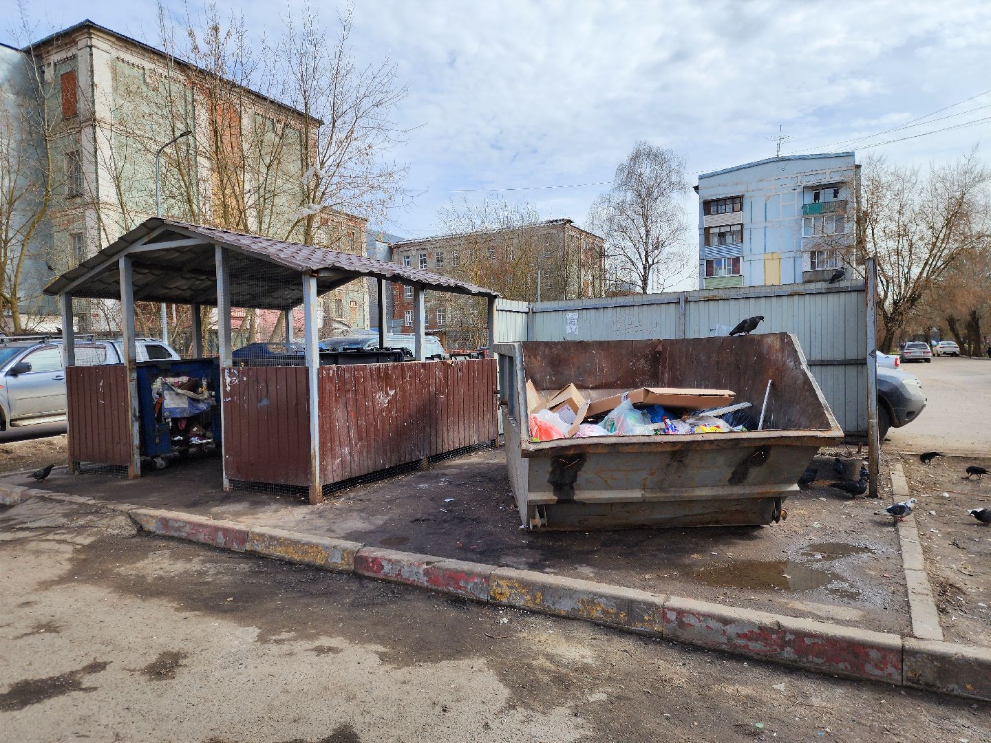 общество