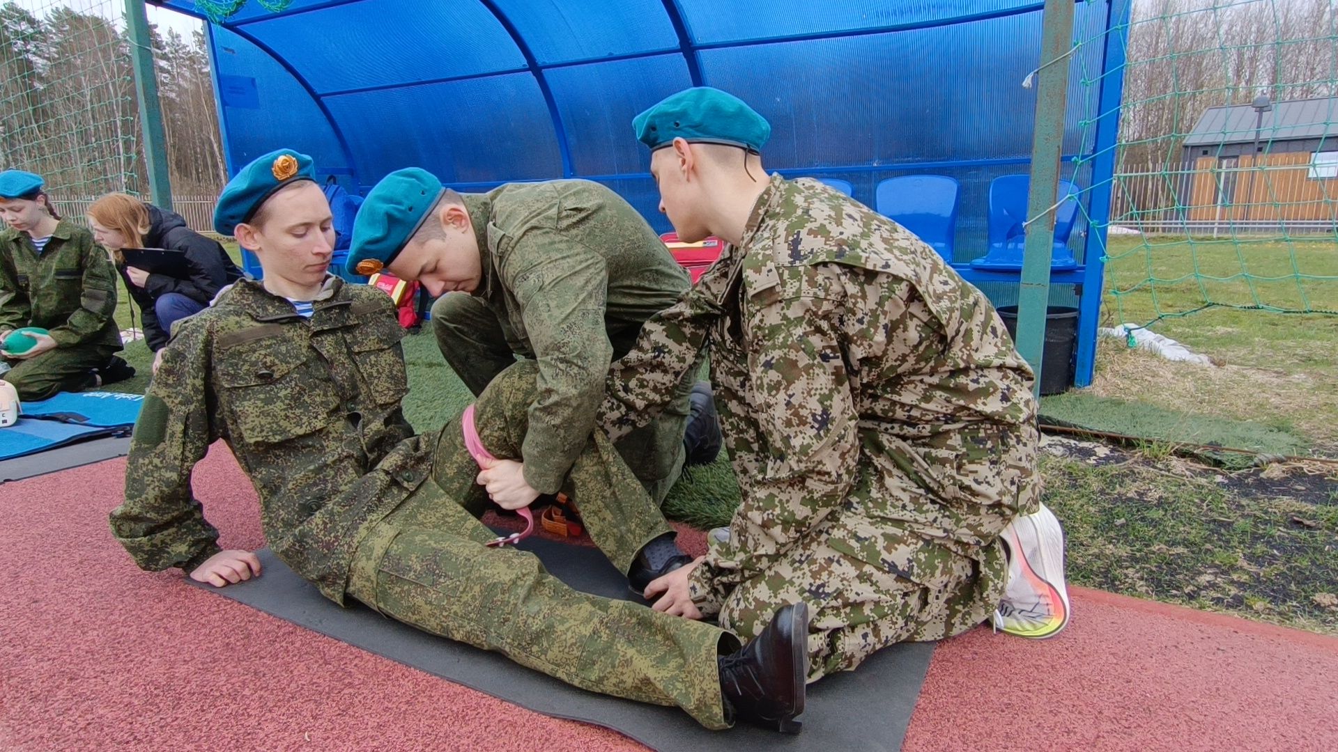 зарница
