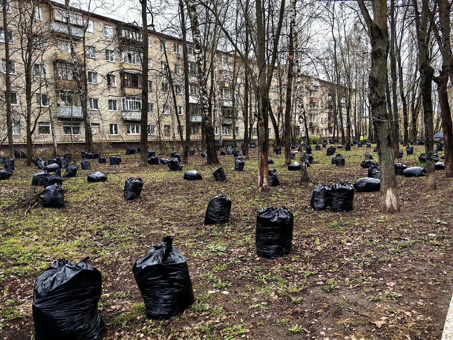 Двор