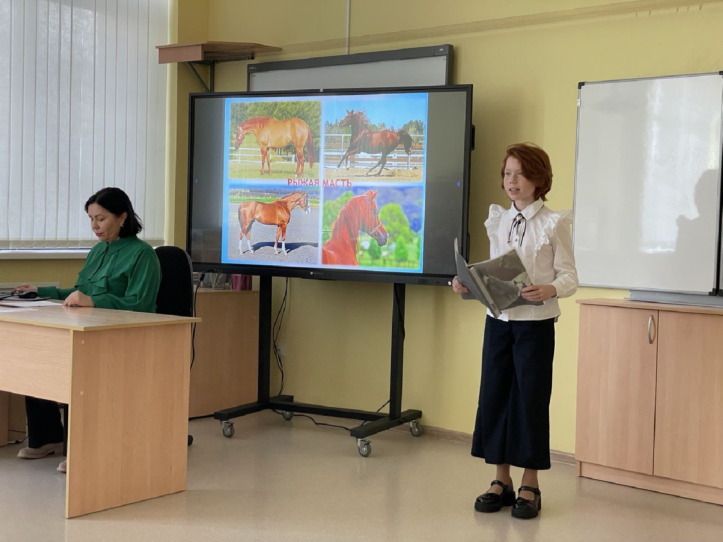 конференция