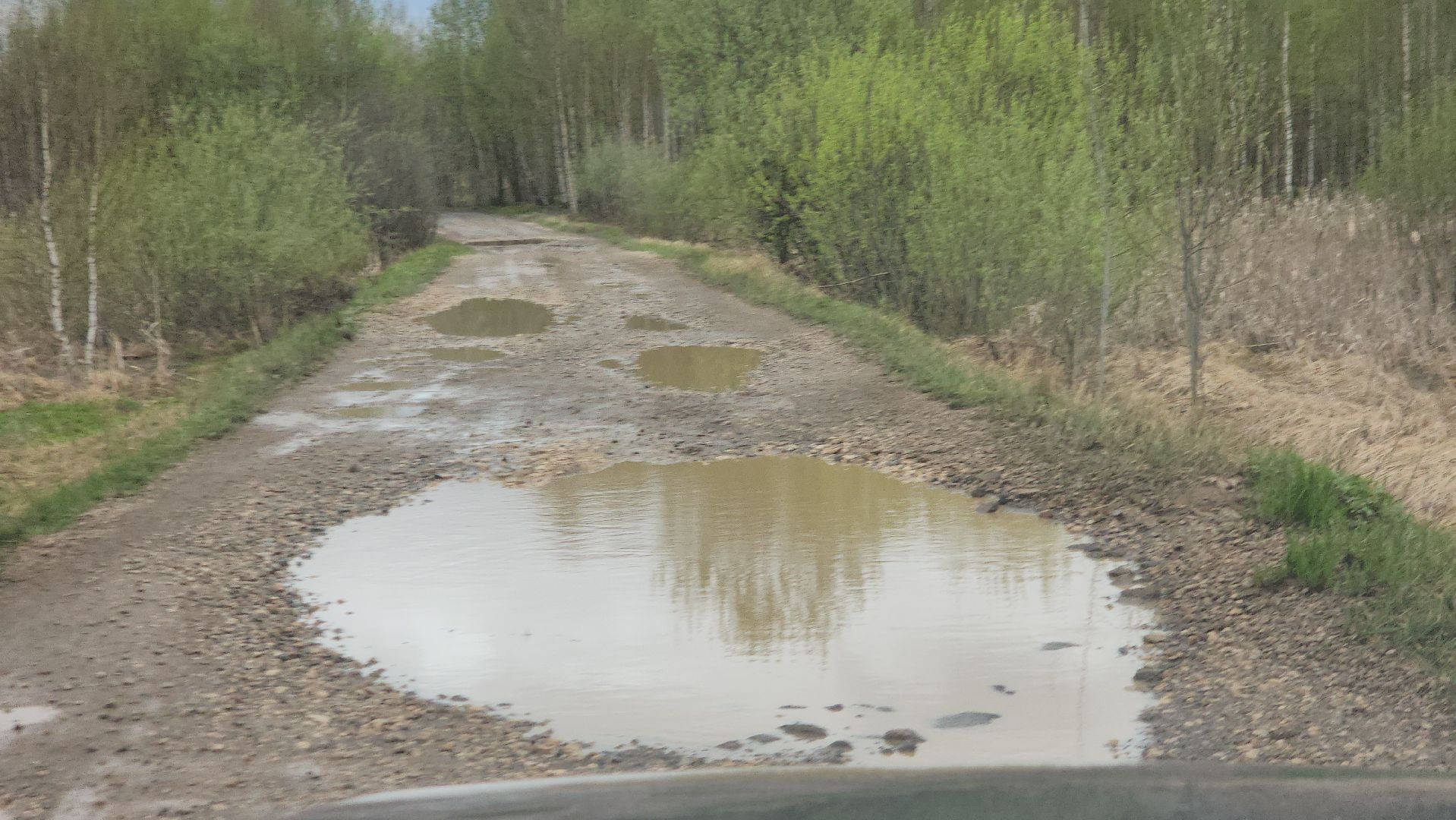 дороги подмосковья