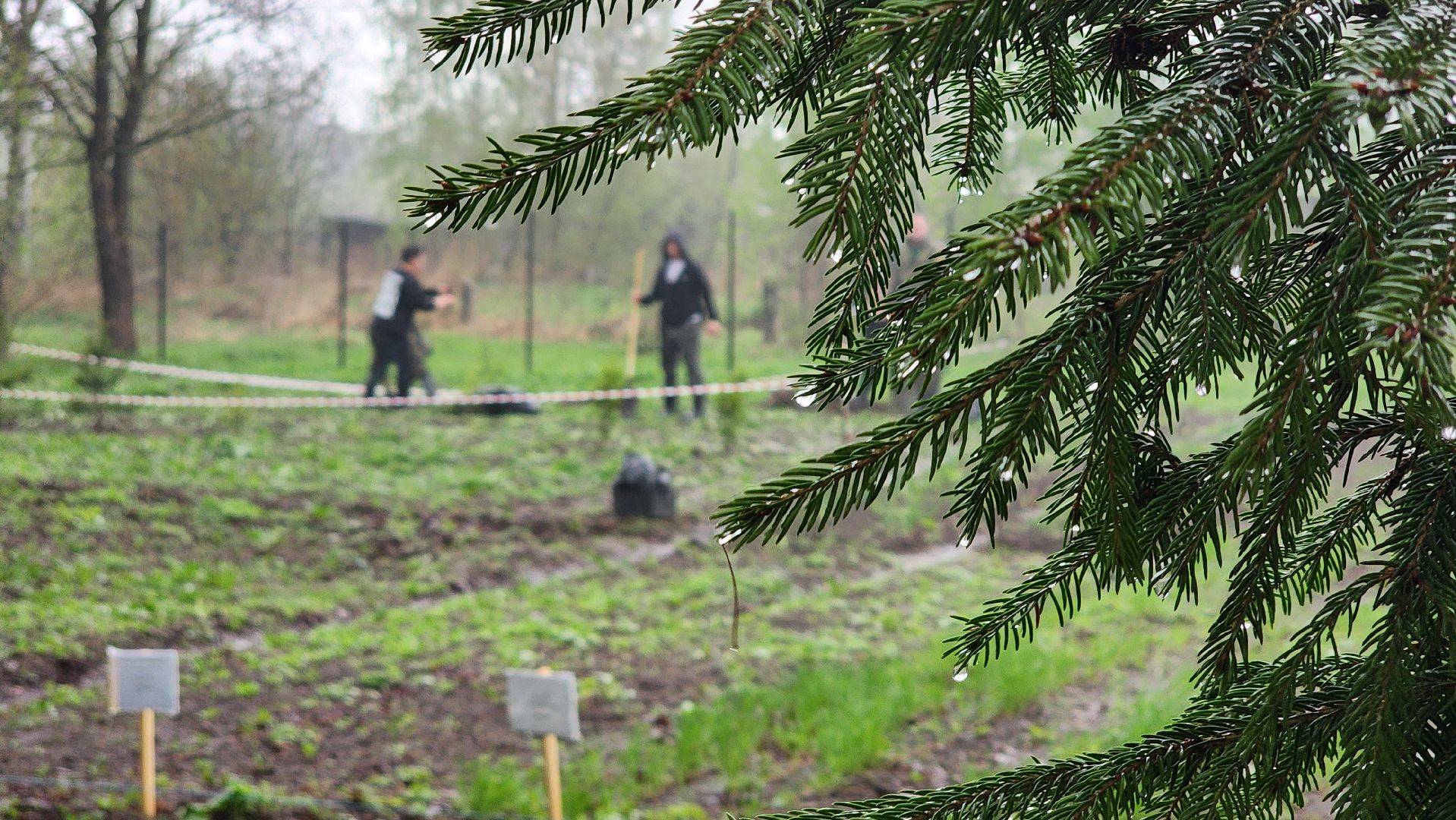 образование Подмосковья