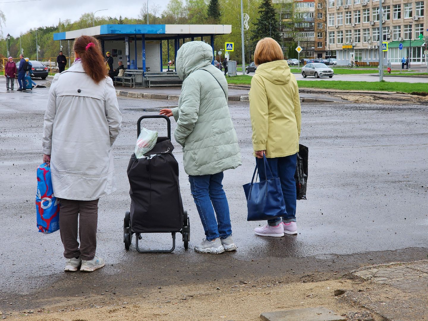 черноголовка