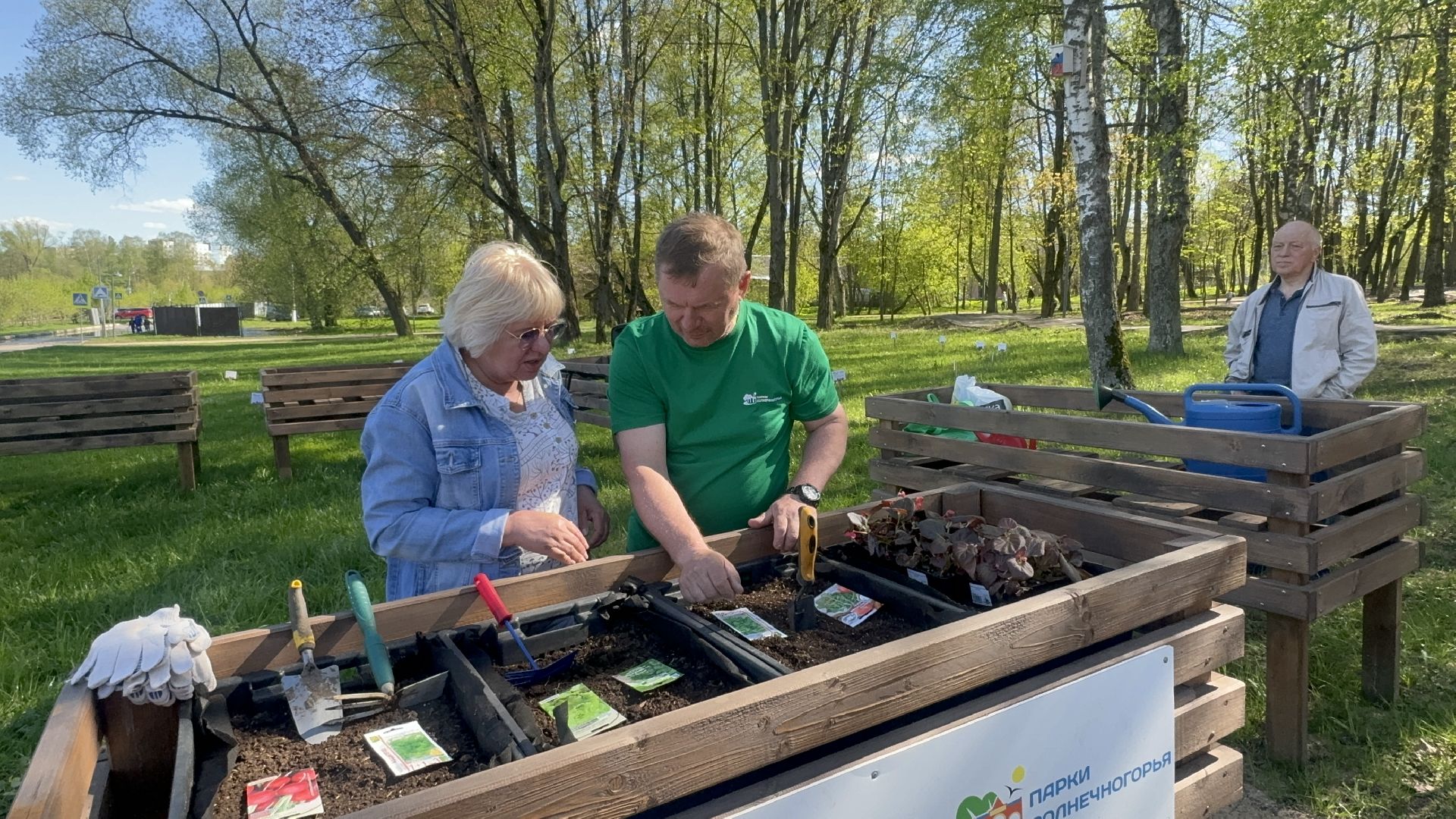 общественный огород