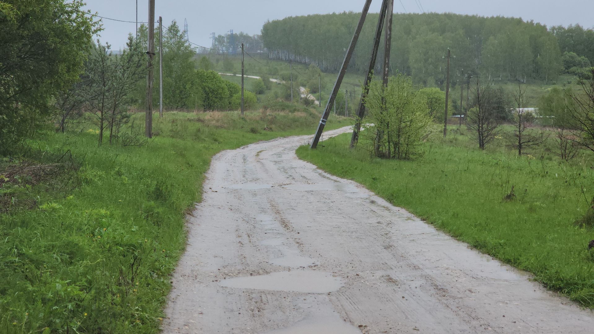 дорог