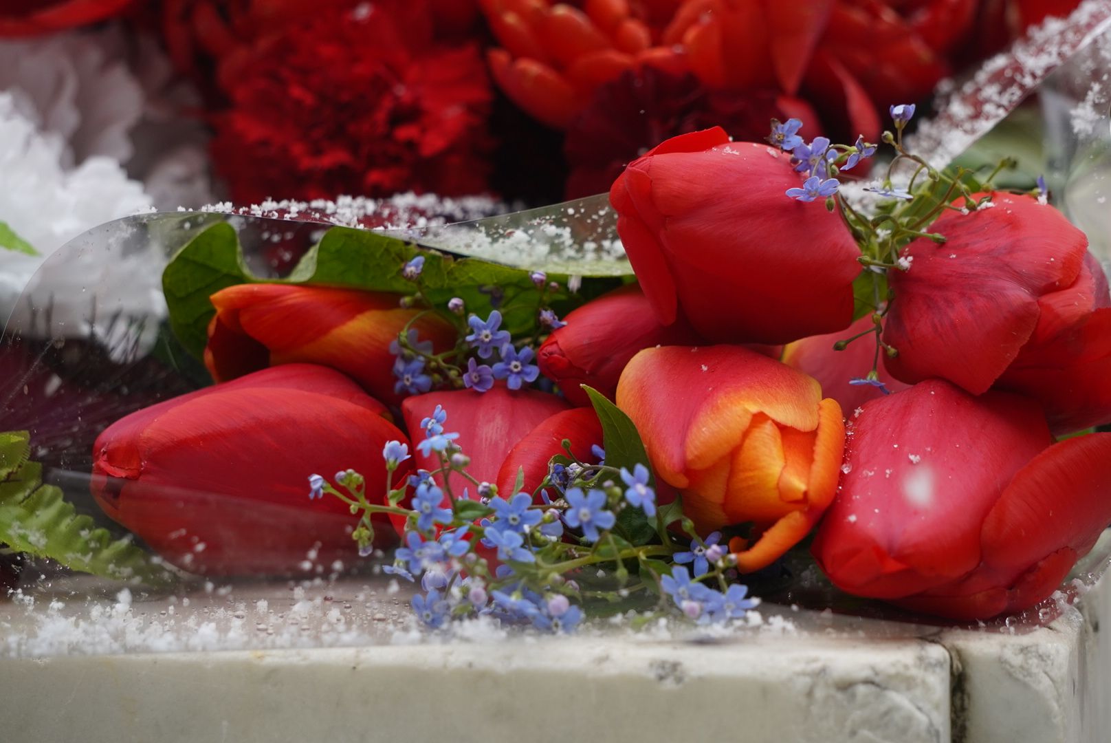 городской округ Павловский Посад