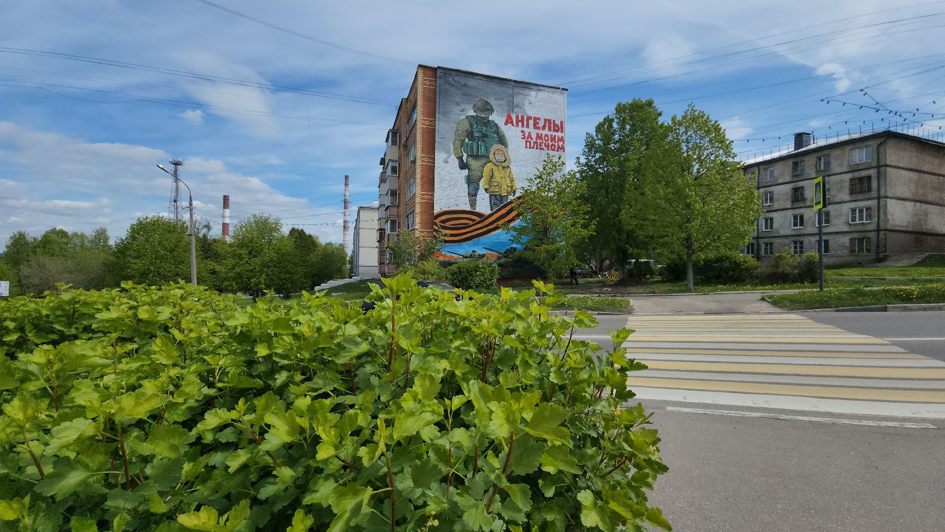 СВО