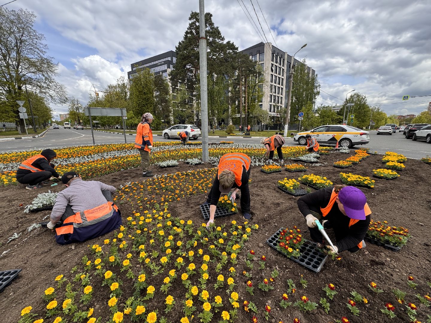 озеленение