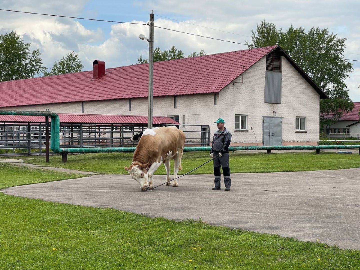 Сельское хозяйство
